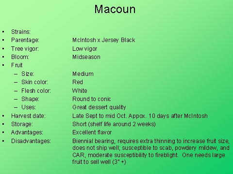 Macoun