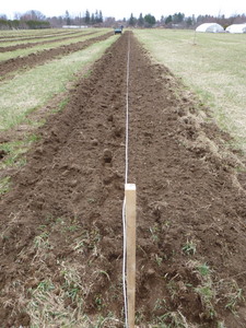 Squared-up, straight rows marked