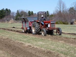Applying compost to tree rows