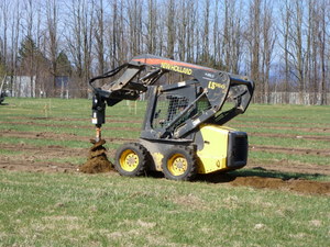 Drilling individual tree holes