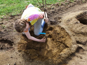 Little feet plant a tree