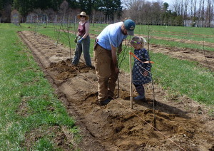 Little feet plant the tree