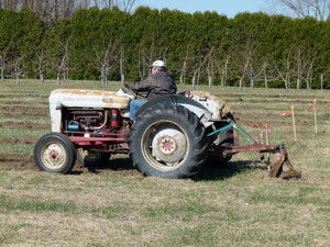 Subsoiling tree rows