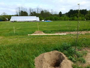 Drilling end post holes and laying out posts