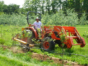 Cultivating in-row weeds with the Weed Badger