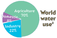 World water use