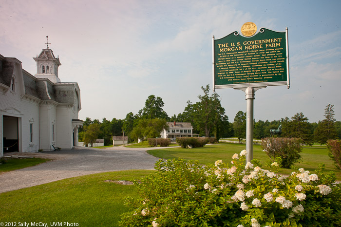 20100802-42