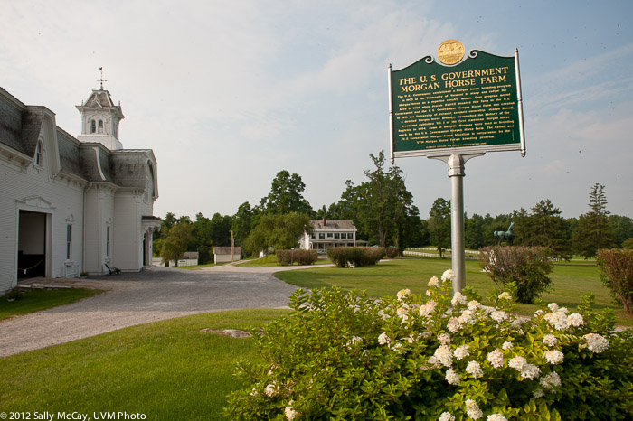 20100802-43