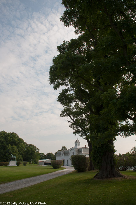 20100802-58