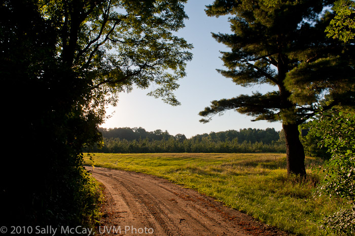 20100829-Hort_Farm_Summer-13
