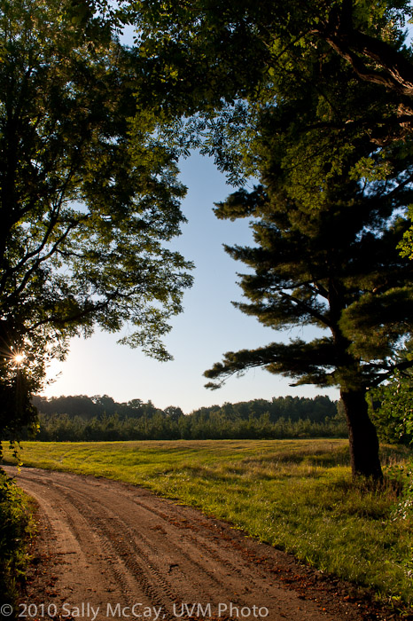 20100829-Hort_Farm_Summer-14