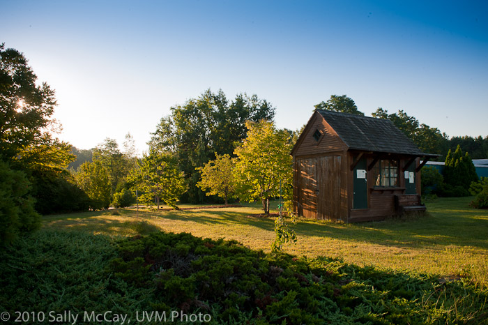 20100829-Hort_Farm_Summer-16