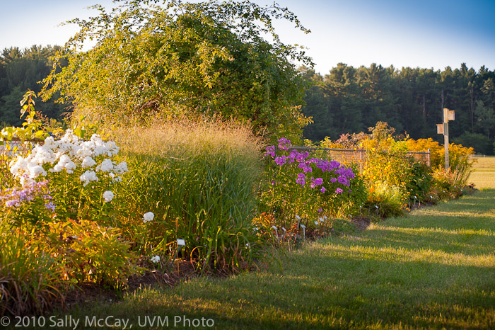 20100829-Hort_Farm_Summer-19
