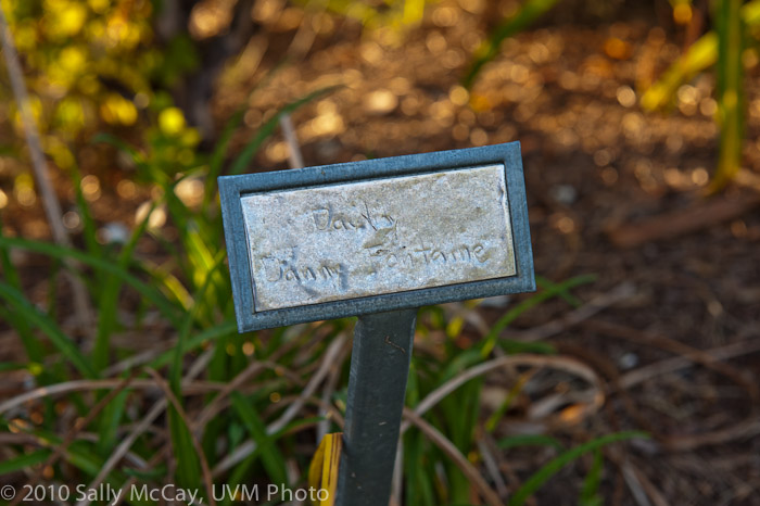20100829-Hort_Farm_Summer-21