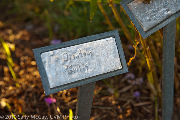 20100829-Hort_Farm_Summer-24