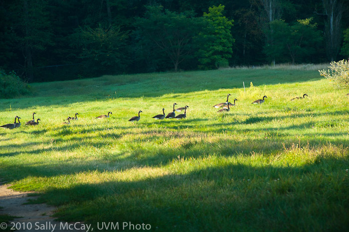 20100829-Hort_Farm_Summer-27