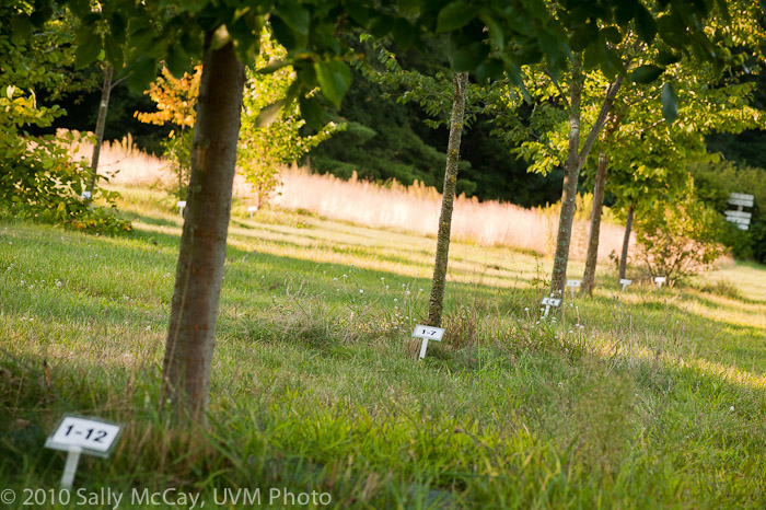 20100829-Hort_Farm_Summer-31