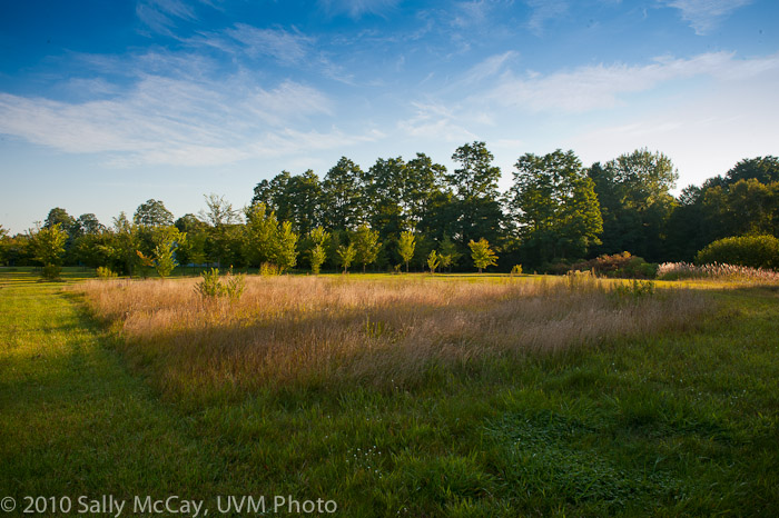 20100829-Hort_Farm_Summer-34