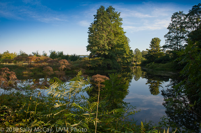 20100829-Hort_Farm_Summer-38