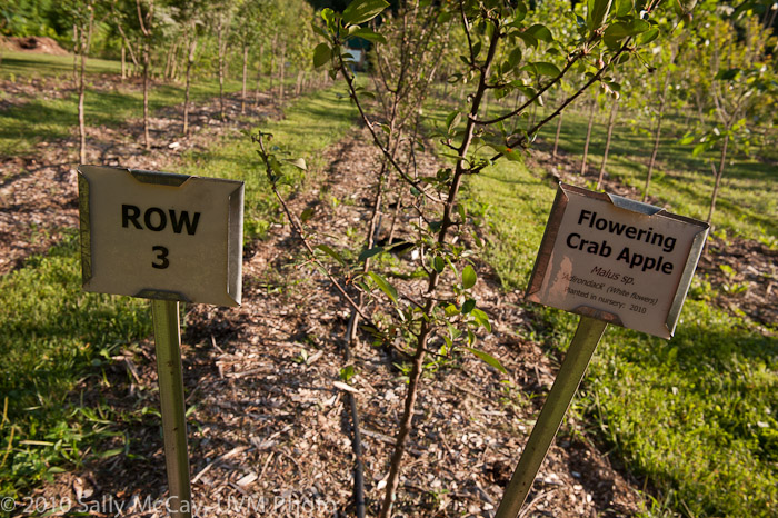 20100829-Hort_Farm_Summer-41