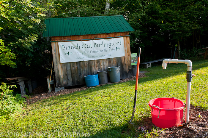 20100829-Hort_Farm_Summer-42