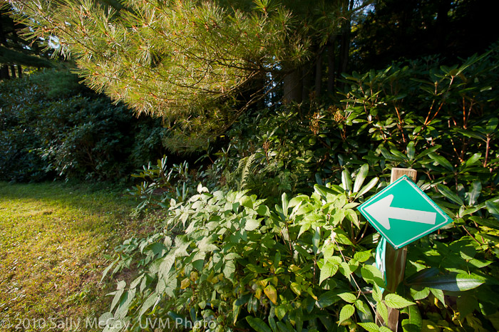 20100829-Hort_Farm_Summer-45