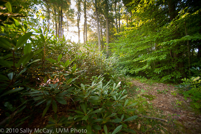 20100829-Hort_Farm_Summer-48