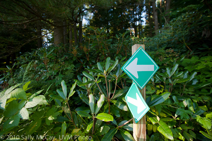 20100829-Hort_Farm_Summer-52
