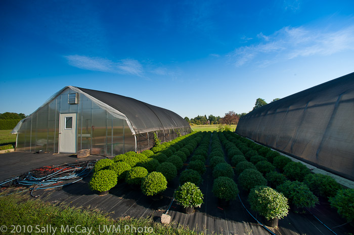 20100829-Hort_Farm_Summer-54