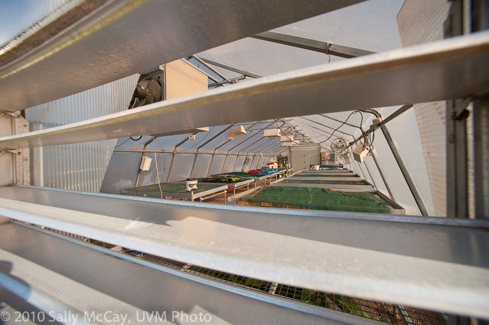 20100829-Hort_Farm_Summer-55