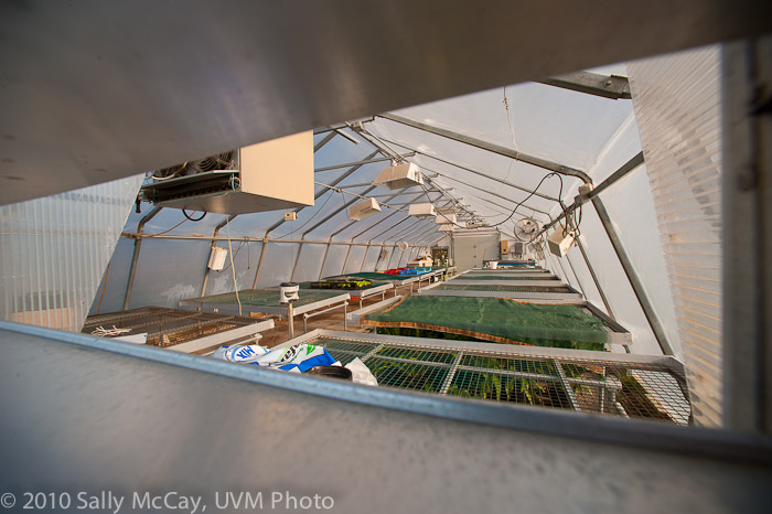 20100829-Hort_Farm_Summer-56