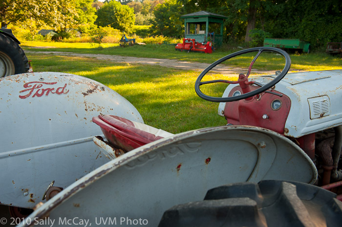 20100829-Hort_Farm_Summer-71