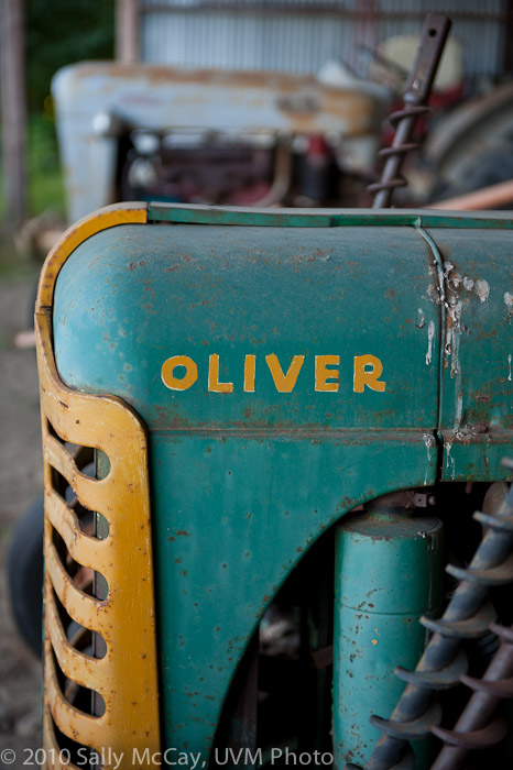 20100829-Hort_Farm_Summer-73