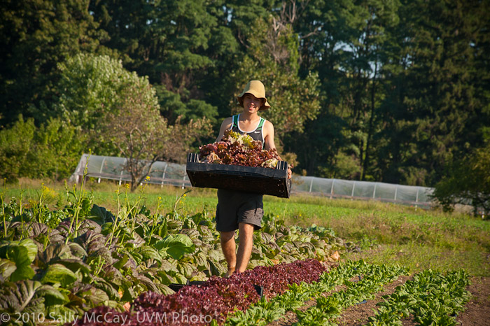 20100829-Hort_Farm_Summer-78