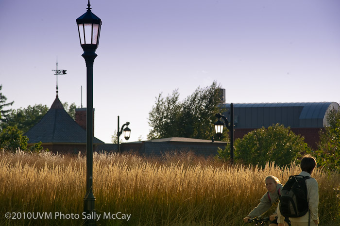 20100906_Grasses-13