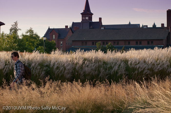 20100906_Grasses-21
