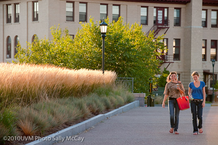 20100906_Grasses-26
