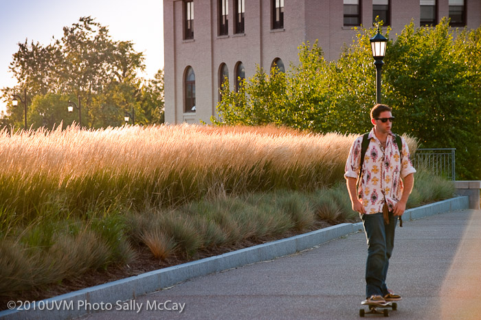 20100906_Grasses-30