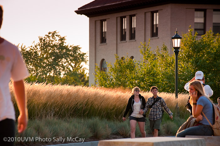 20100906_Grasses-32