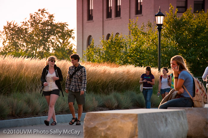 20100906_Grasses-33