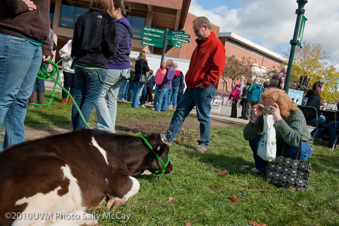 20101002_Homecoming-87