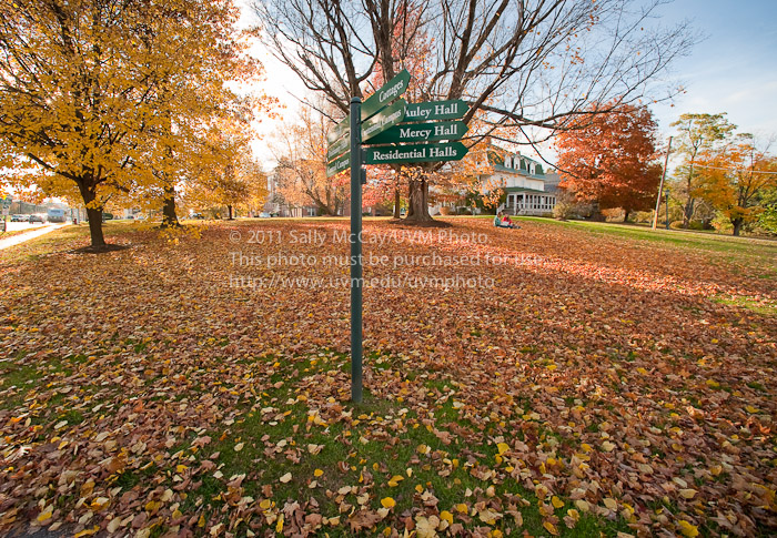 20101026_Trinity_Campus-12