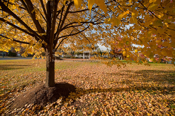 20101026_Trinity_Campus-15