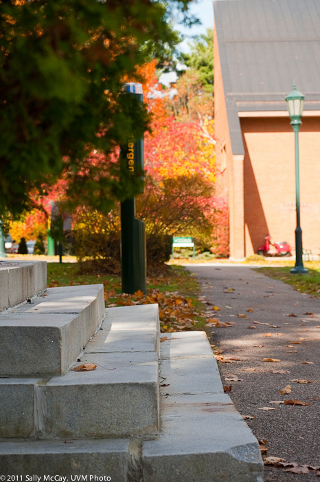 20101028_Trinity_Fall-11