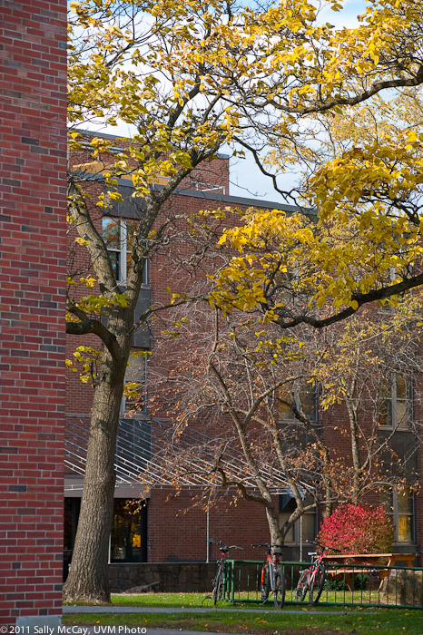20101028_Trinity_Fall-13