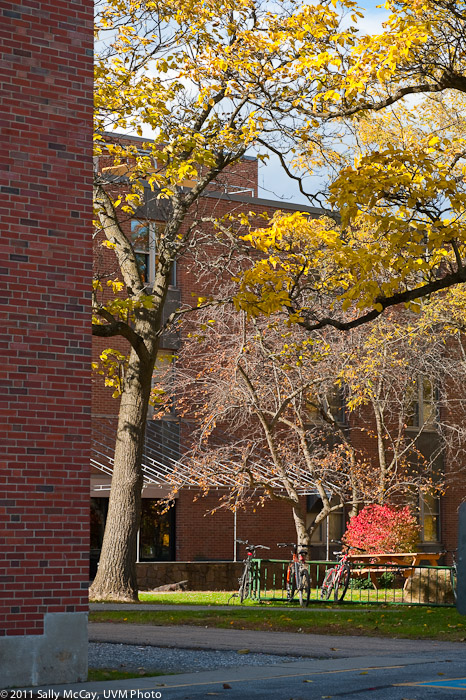 20101028_Trinity_Fall-14