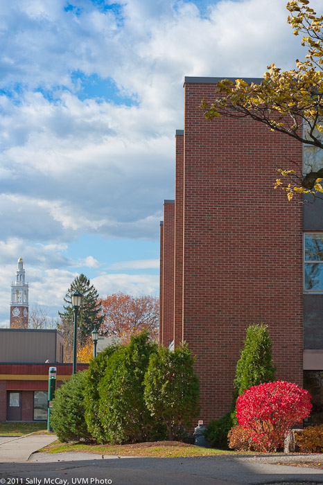 20101028_Trinity_Fall-16