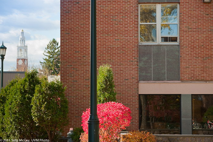 20101028_Trinity_Fall-18