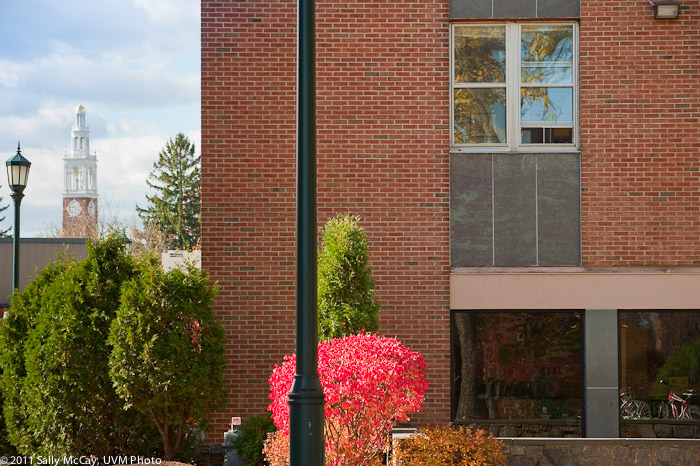 20101028_Trinity_Fall-19