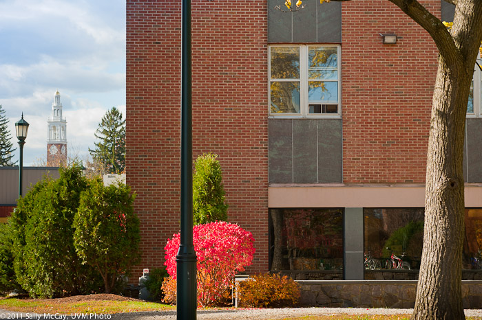 20101028_Trinity_Fall-21
